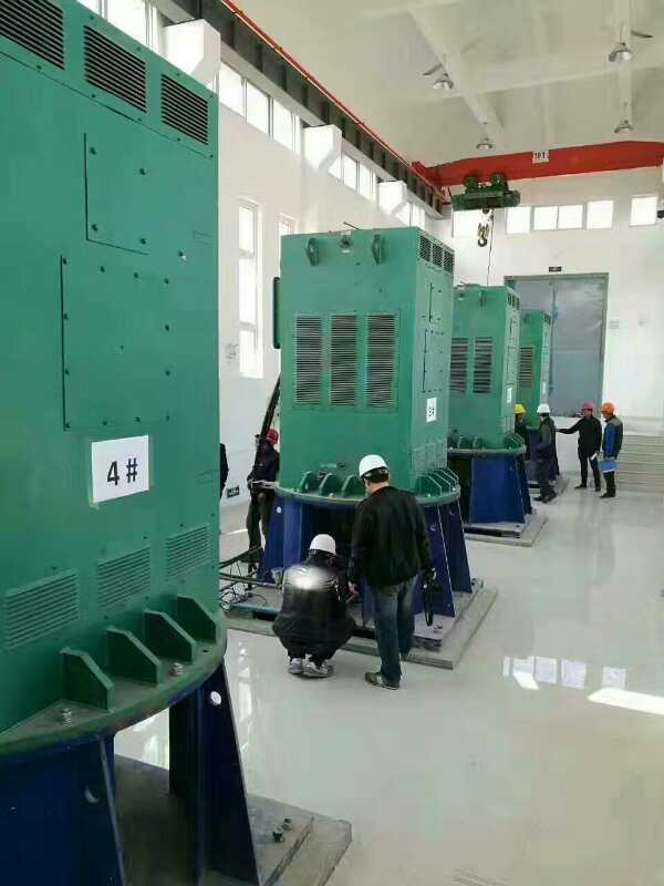 乐东某污水处理厂使用我厂的立式高压电机安装现场