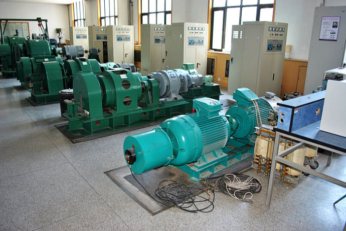 乐东某热电厂使用我厂的YKK高压电机提供动力
